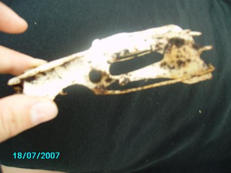 photo pour les m&m's